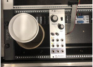 Mutable Instruments Ripples (80113)