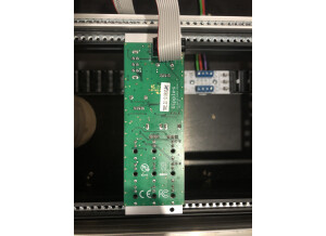 Mutable Instruments Ripples (54302)