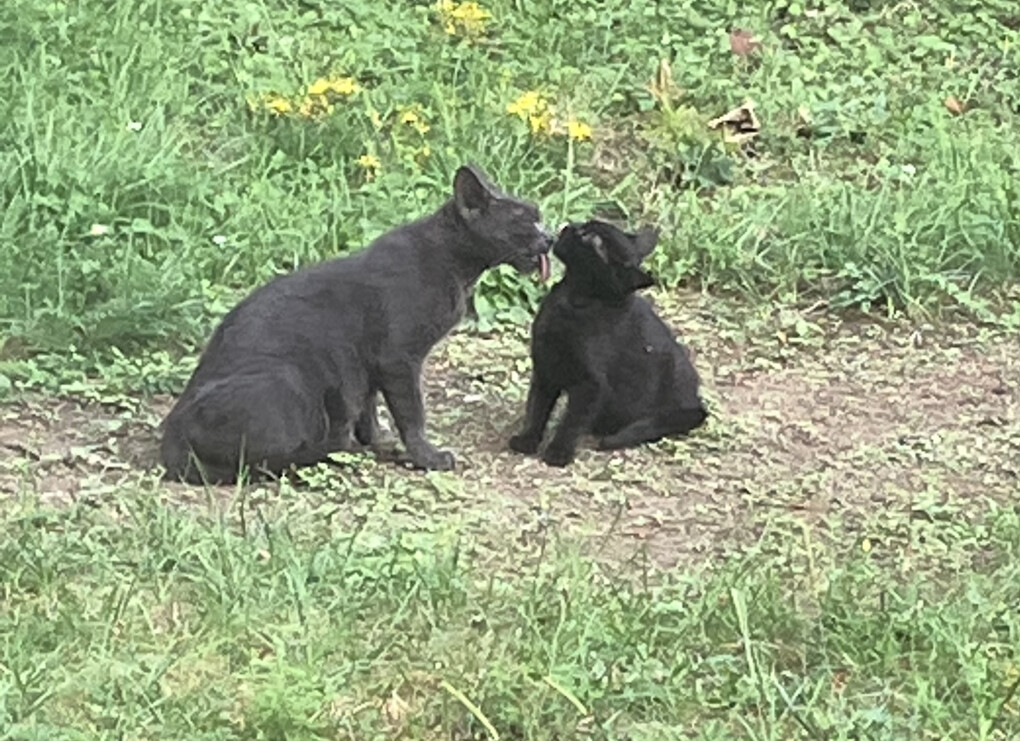 5777404.jpeg 5777404.jpeg