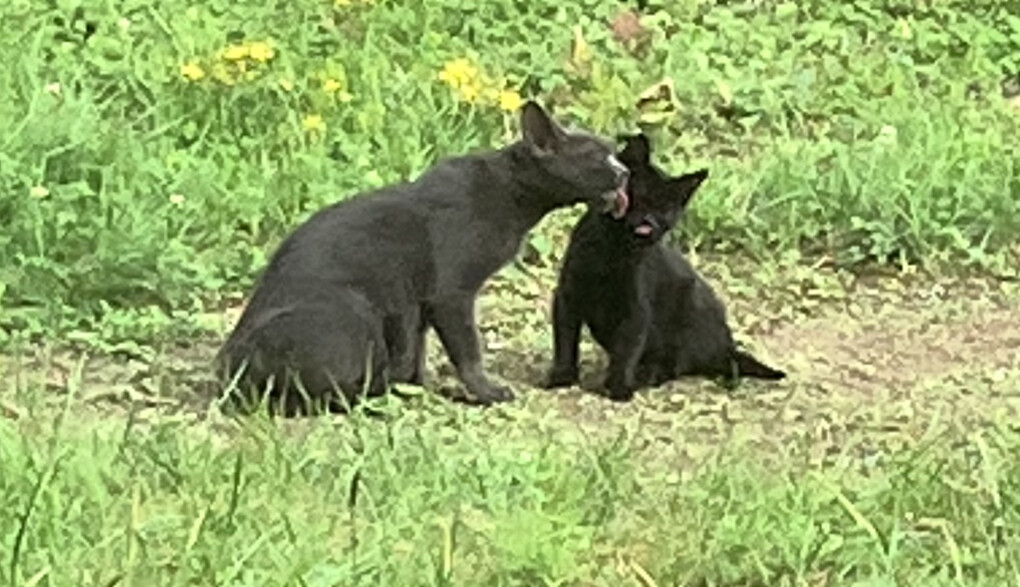 5777405.jpeg 5777405.jpeg