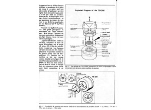 article tad 5