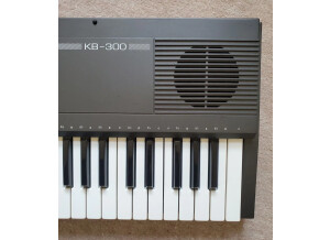 Viscount KB-300 (39801)