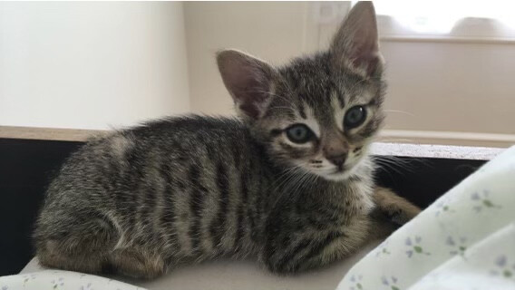 5778320.jpeg 5778320.jpeg