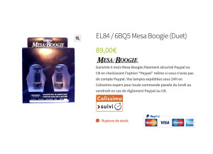 Mesa Boogie Mini Rectifier Twenty Five Head (3752)
