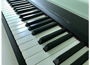 Roland A-88 (42923)