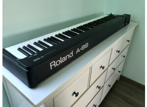 Roland A-88 (99598)