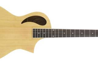 Peavey Composer
