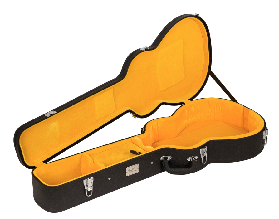 Fender Malibu Vintage : Vintage Case