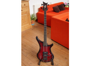 Vigier Passion (15899)