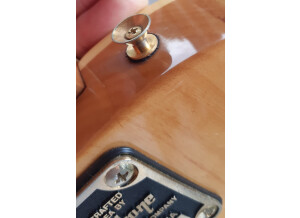 Epiphone Nighthawk Standard 3 (14357)