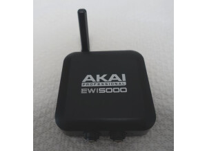 Akai Professional EWI 5000 (83869)