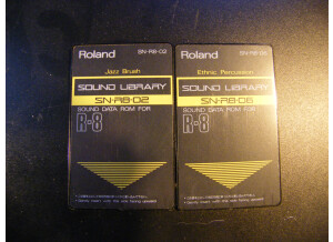 Roland R-8M (28485)