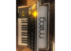 Moog Music Subsequent 25 (47232)