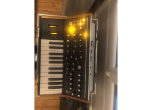 Moog Music Subsequent 25 (60540)