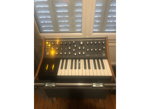 Moog Music Subsequent 25 (10679)