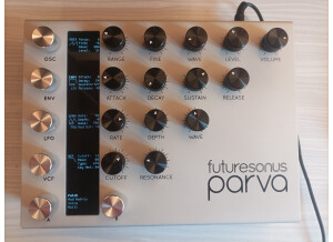 Futuresonus Parva (78114)