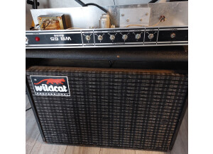 Wildcat WB 65 Bass