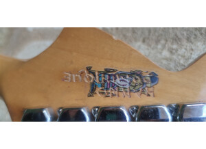 Paul Beuscher Stratocaster