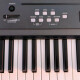 XP2 XP2