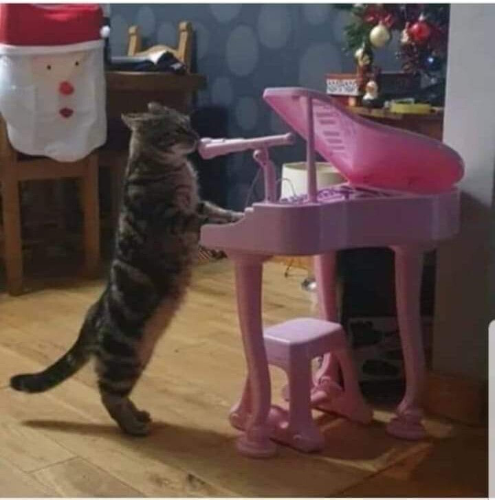 5785985.jpg 5785985.jpg