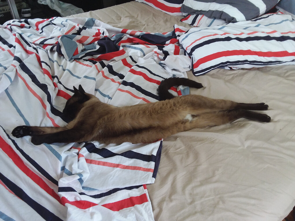 5785992.jpg 5785992.jpg