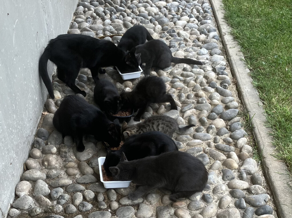 5786016.jpeg 5786016.jpeg