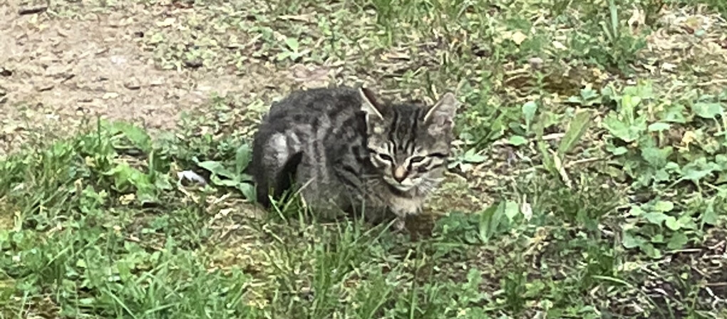 5786051.jpeg 5786051.jpeg