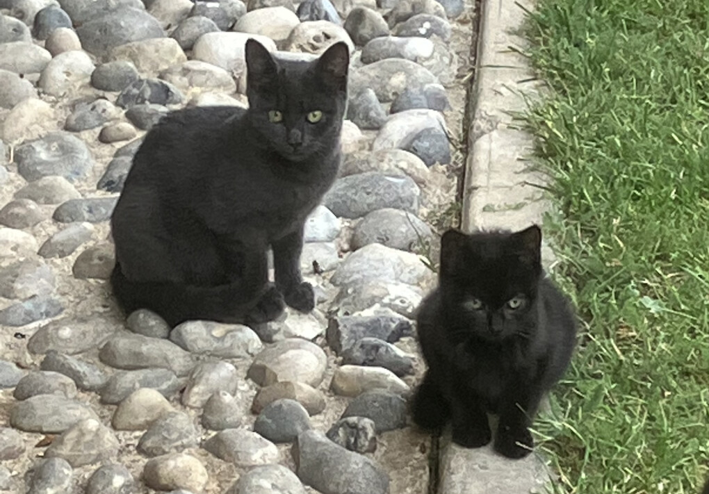 5786052.jpeg 5786052.jpeg