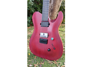 Chapman Guitars ML-3 Pro Modern (46516)