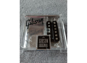Gibson PAT 2.737.842 (14831)
