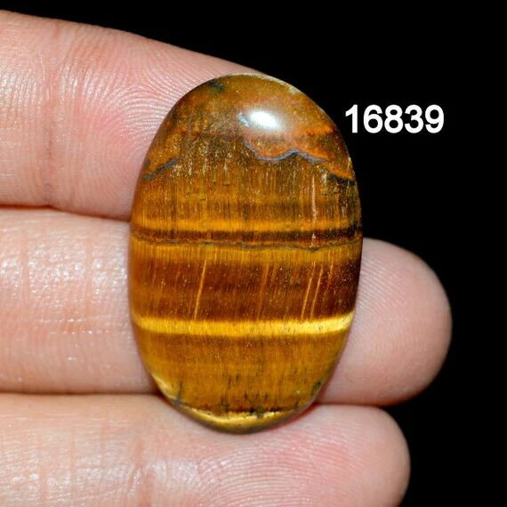 5788277.jpg 5788277.jpg