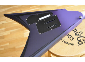 LTD Alexi Ripped Alexi Laiho (37820)