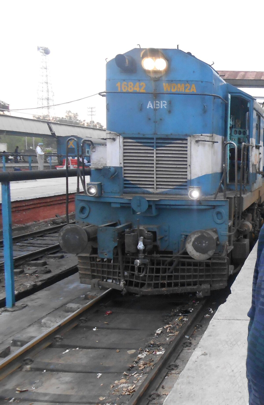 5789484.jpg 5789484.jpg