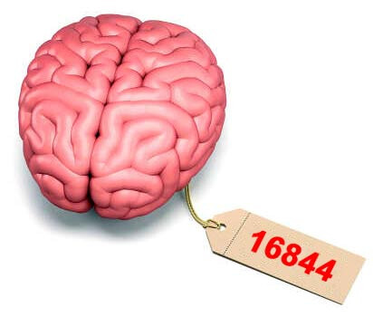 5789490.jpg 5789490.jpg