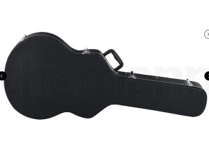 Fender Special Edition Coronado Guitar (71456)