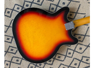 Fender Special Edition Coronado Guitar