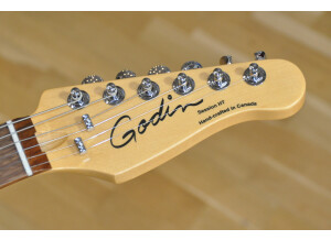Godin Session HT (19924)