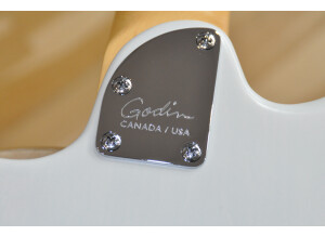 Godin Session HT (27860)