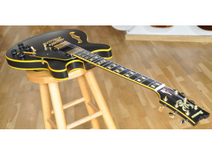 Ibanez JSM20 John Scofield Signature (57799)