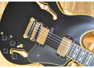 Ibanez JSM20 John Scofield Signature (10670)