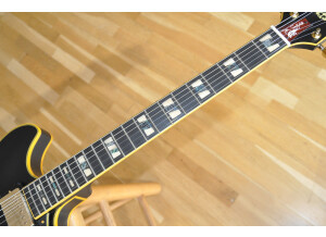 Ibanez JSM20 John Scofield Signature (38713)