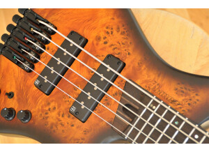 Ibanez EHB1505 (35223)