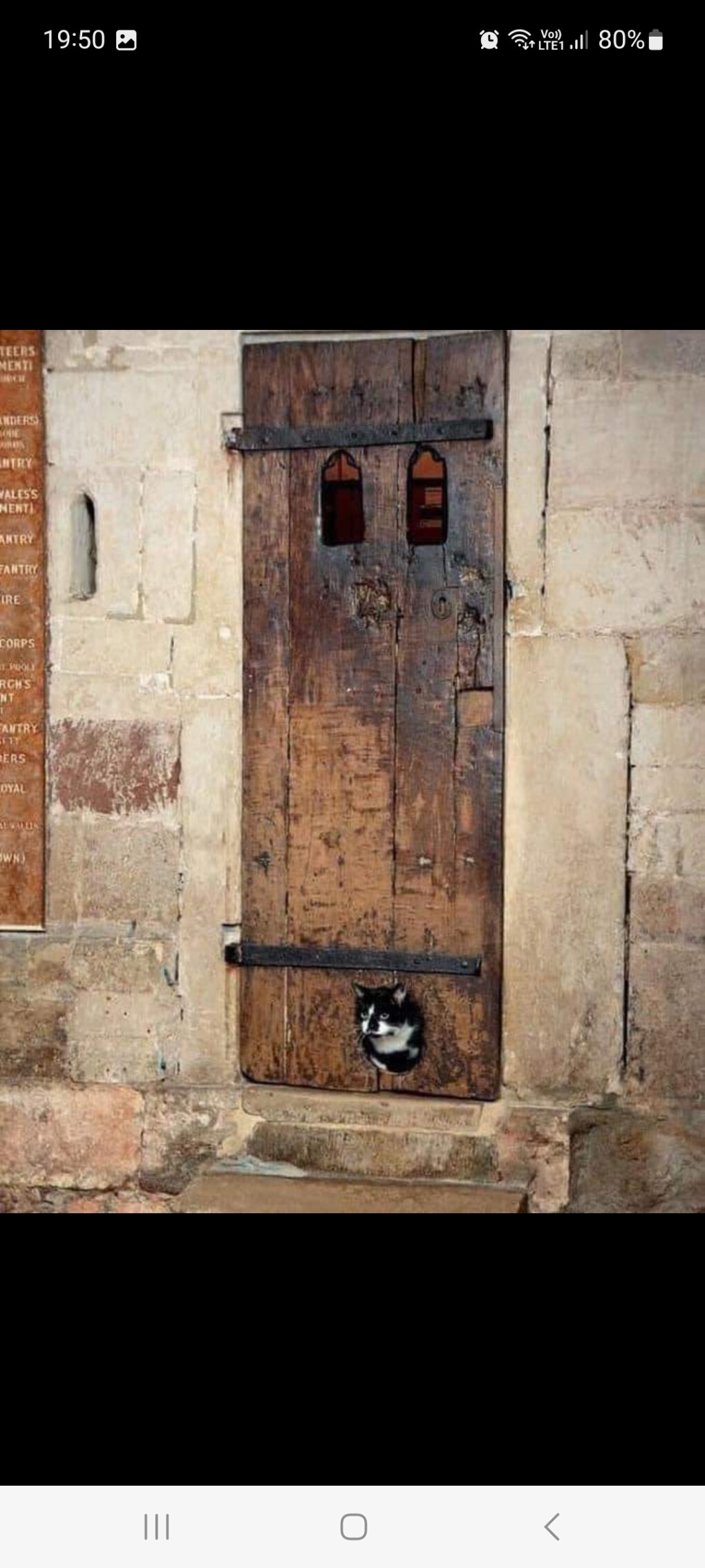 5791017.jpg 5791017.jpg