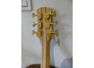 Parker Guitars PJ12 (95719)