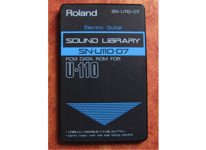 Roland SN-U110-07 : Electric Guitar (27886)