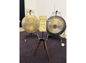Moog Music Claravox Centennial Theremin (58316)