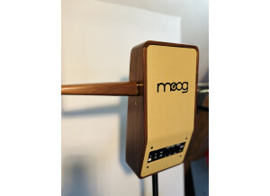 Moog Music Claravox Centennial Theremin (65489)