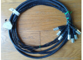 Câble épanouie pour connexion numérique AES/EBU