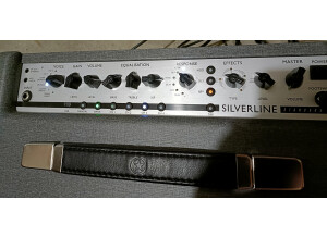 Blackstar Amplification Silverline Standard