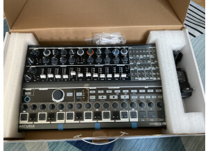 Arturia MiniBrute 2S (91857)